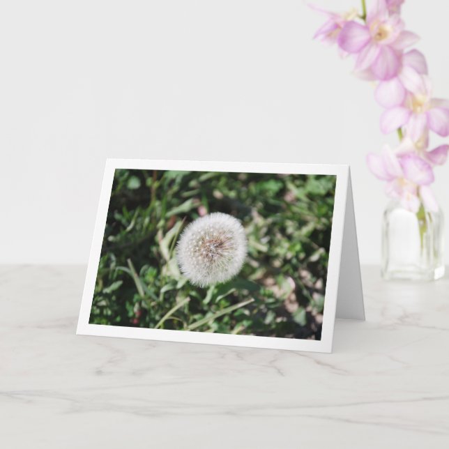 Dandelion Seed Head Flower Card (Orchid)