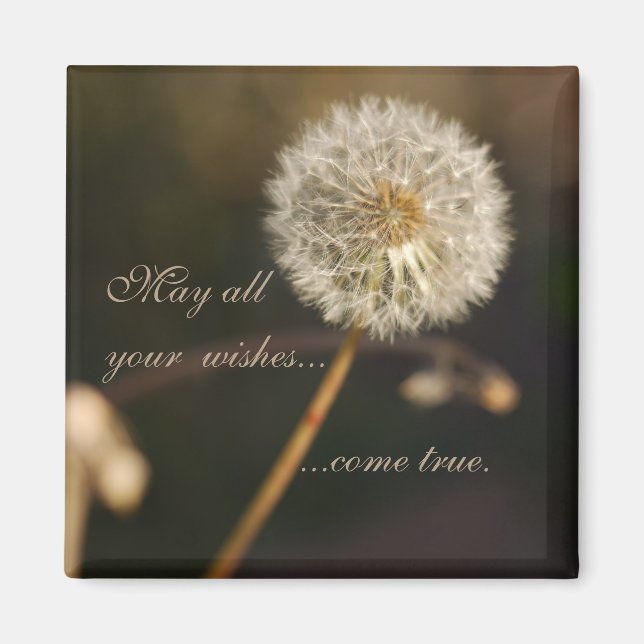 Dandelion Seed Head in Brown Tones  Magnet (Front)