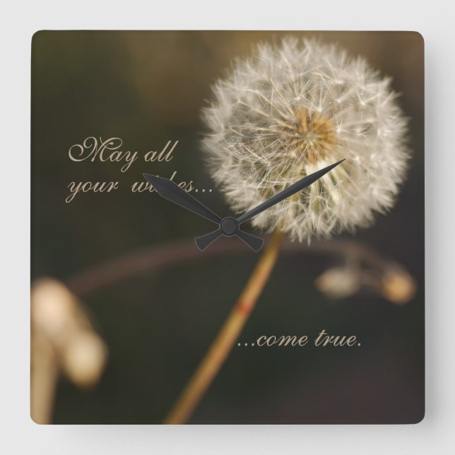Dandelion Seed Head in Brown Tones  Square Wall Clock (Front)