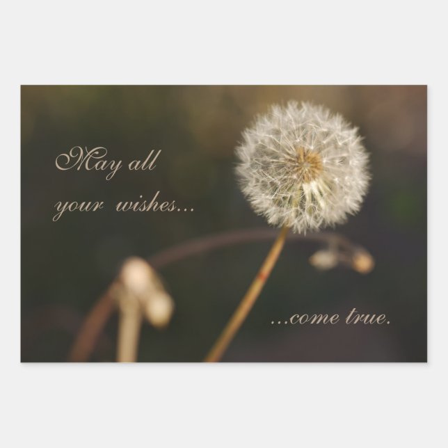 Dandelion Seed Head in Brown Tones Wrapping Paper Sheet (Front)
