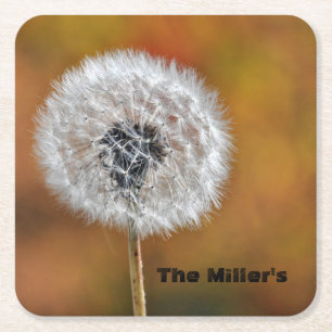 Dandelion Seed Head w/ Customisable Text Square Paper Coaster