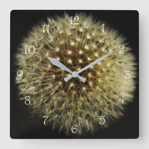 Dandelion Seedhead White Script Numbers wcm Square Wall Clock