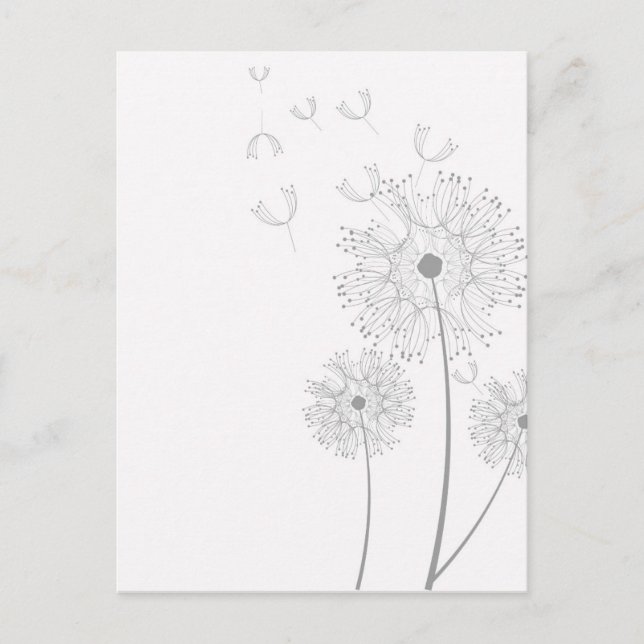 Dandelion Seeds Blowing Postcard (Front)