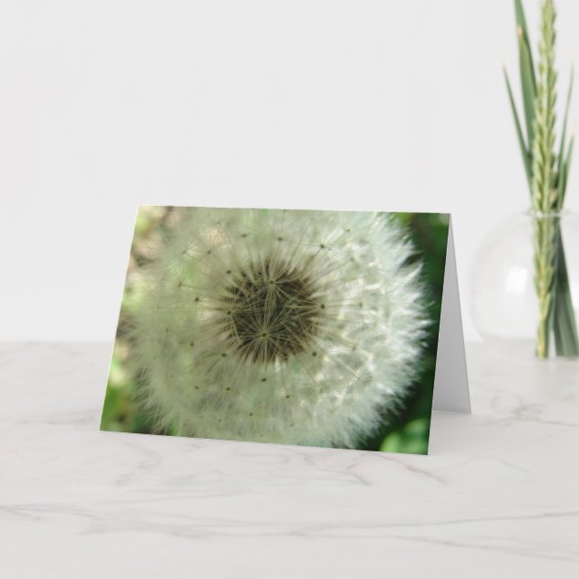 Dandelion Seeds Card (Front)