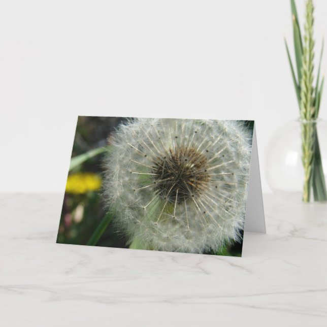 Dandelion Seeds Card (Front)