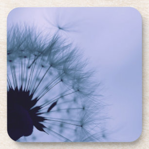 Dandelion Seeds Coaster