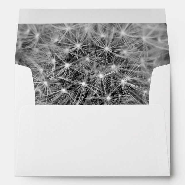Dandelion Seeds Envelopes (Back (Bottom))