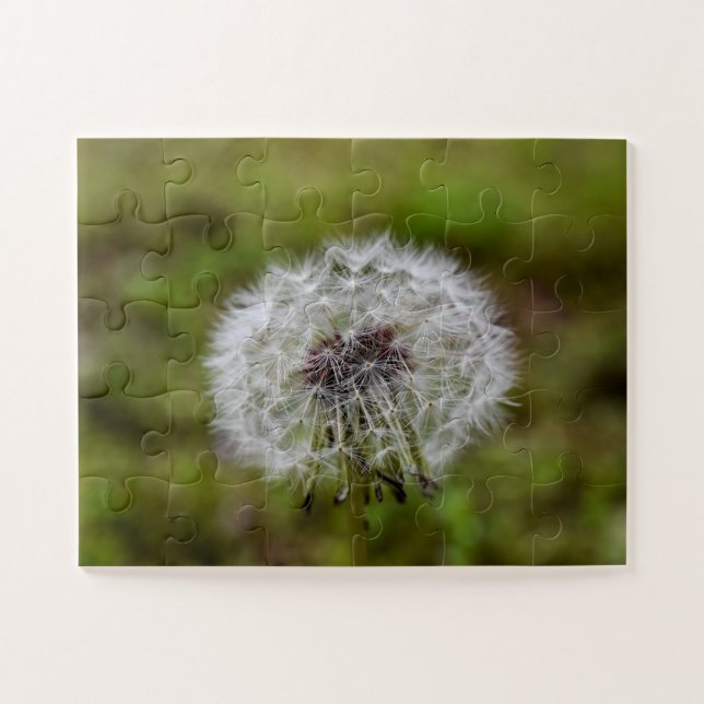 Dandelion Seeds Jigsaw Puzzle (Horizontal)