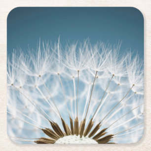 Dandelion Seeds Square Paper Coaster