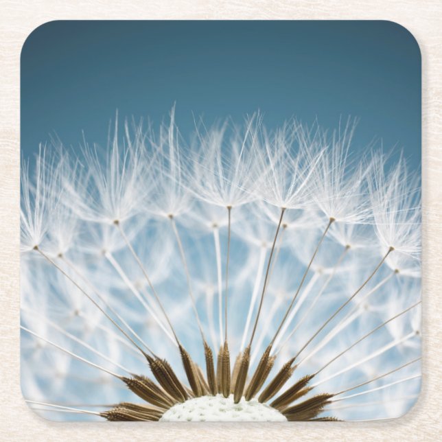 Dandelion Seeds Square Paper Coaster (Front)