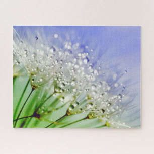 Dandelion Seeds with Dew Droplets Jigsaw Puzzle