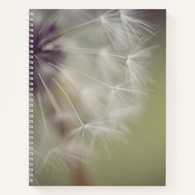 Dandelion Spiral Notebook (Front)