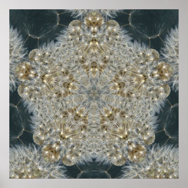 Dandelion Star Nov 2012 Poster (Front)