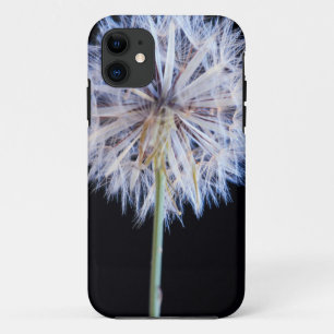 Dandelion (Taraxacum Officinale) Seed Head iPhone 11 Case
