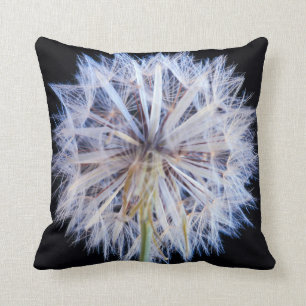 Dandelion (Taraxacum Officinale) Seed Head Cushion