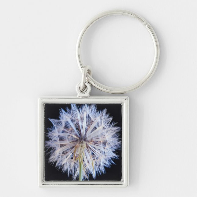 Dandelion (Taraxacum Officinale) Seed Head Key Ring (Front)