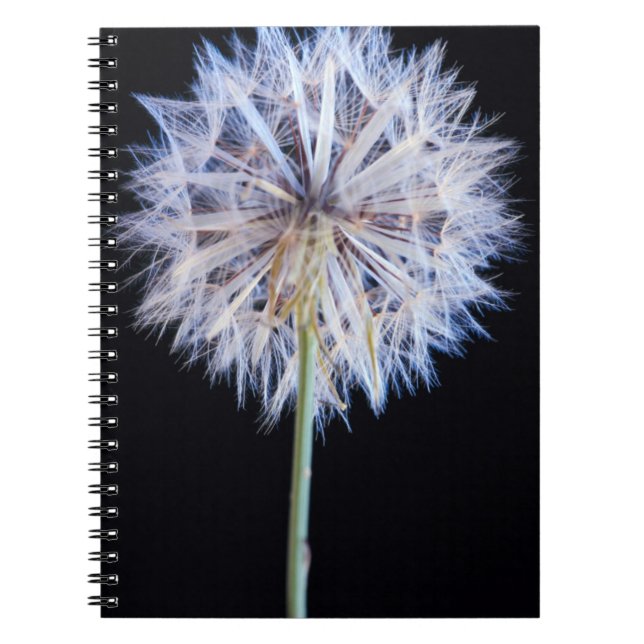 Dandelion (Taraxacum Officinale) Seed Head Notebook (Front)