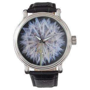 Dandelion (Taraxacum Officinale) Seed Head Watch