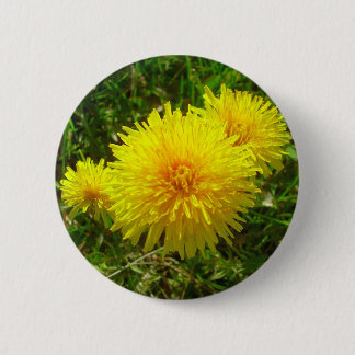 Dandelion Trio 6 Cm Round Badge