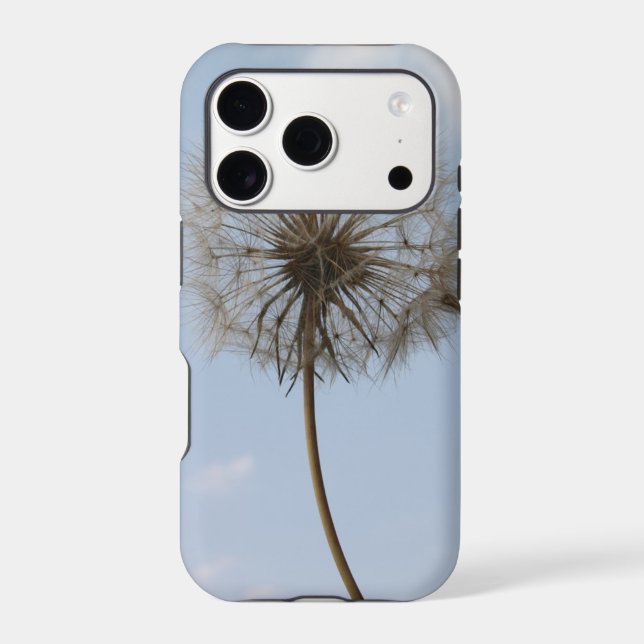 Dandelion Under the Spring sky (Back)