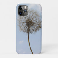 Dandelion Under the Spring sky