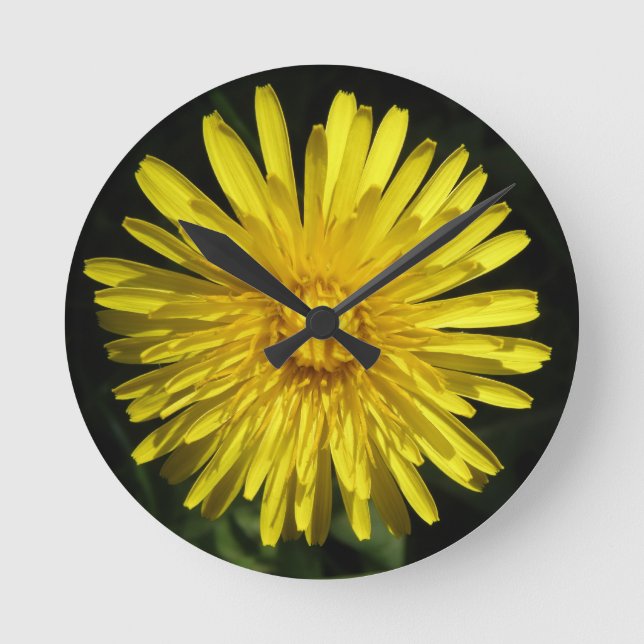 Dandelion Wall Clock (Front)