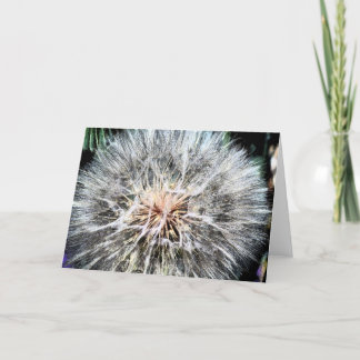Dandelion Whisps Greeting Card