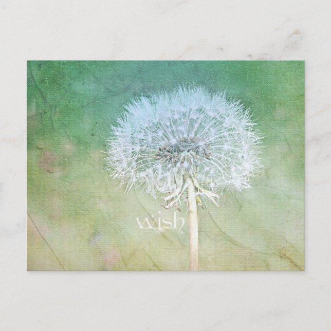 Dandelion Wish Dreamy Design Postcard (Front)