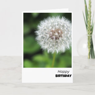 Dandelion Wishes Birthday Card