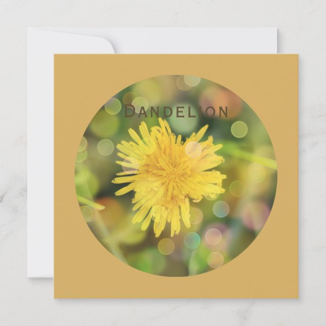 Dandelion with Colourful Bokeh on Indian Yellow Holiday Card (Front)