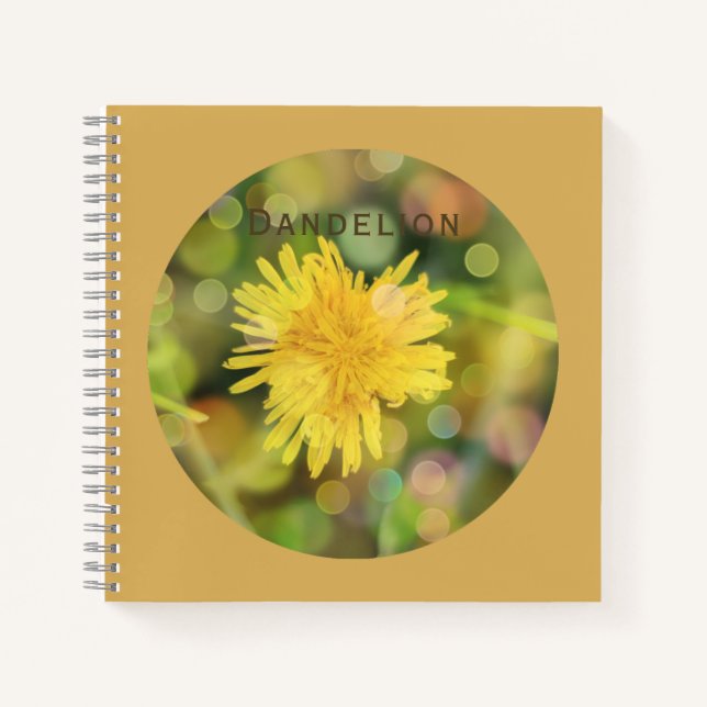 Dandelion with Colourful Bokeh on Indian Yellow Notebook (Front)