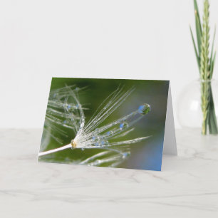 Dandelion With Dew Poetry of Nature Card