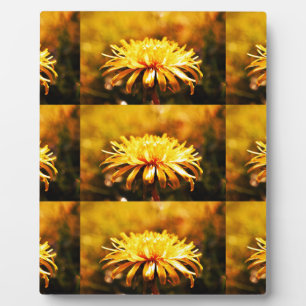 Dandelion Yellow Blossoms Flowers Vines Spring Plaque
