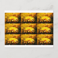 Dandelion Yellow Blossoms Flowers Vines Spring