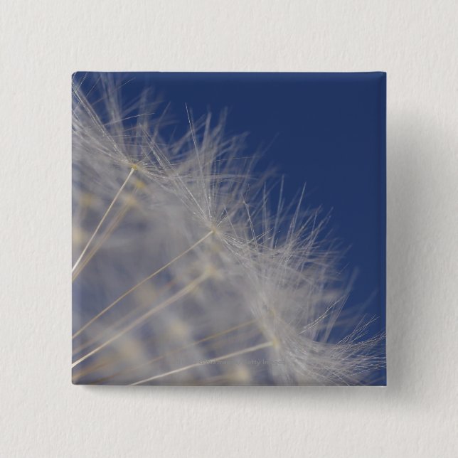 Dandelions 15 Cm Square Badge (Front)