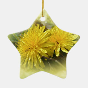 Dandelions - A Sunny Hi Ceramic Ornament