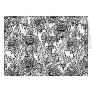 Dandelions, black and white