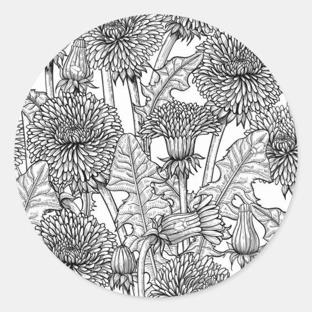 Dandelions, black and white classic round sticker (Front)