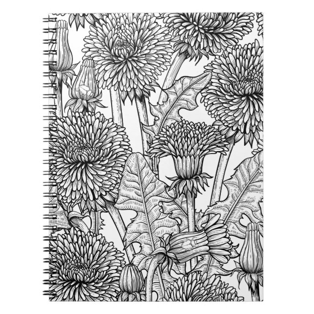Dandelions, black and white notebook (Front)