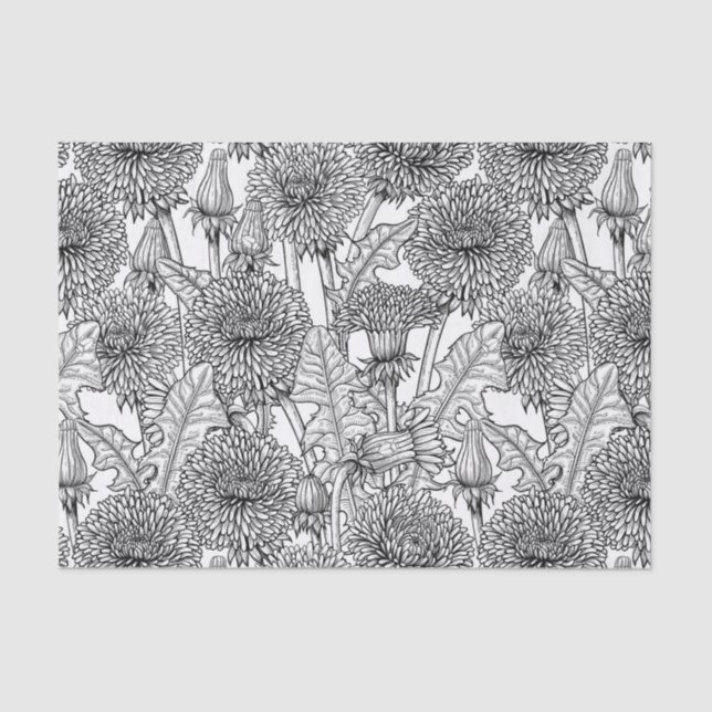 Dandelions, black and white tissue paper (Front)