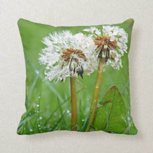 Dandelions by Alexandra Cook Cushion