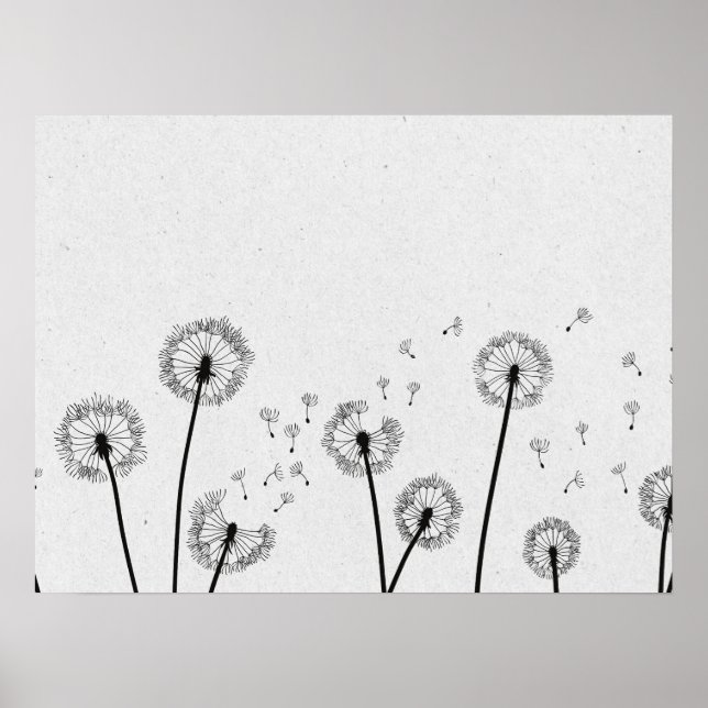 Dandelions Flowers Pappus Spores Grey Poster (Front)