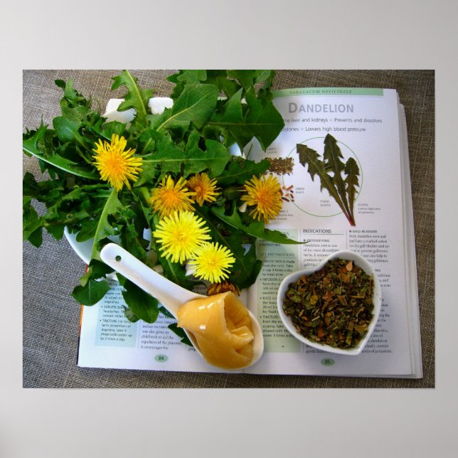 DANDELIONS FOR HEALTH ~ Poster (Front)