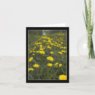 Dandelions in Minnesota Thank You Card