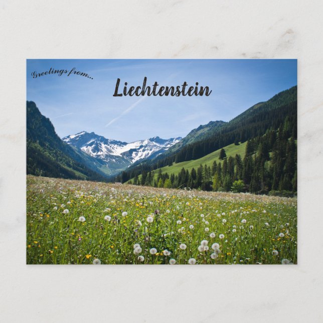 Dandelions in Steg Liechtenstein Postcard (Front)