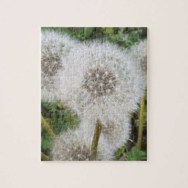 Dandelions Jigsaw Puzzle (Vertical)