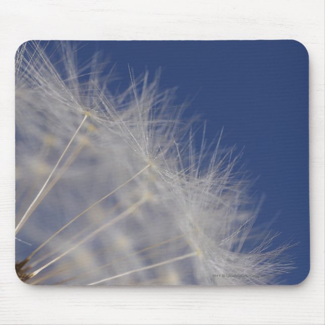 Dandelions Mouse Pad (Front)