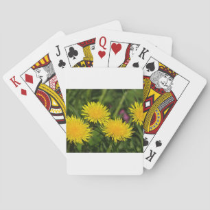 Dandelions Playing Cards