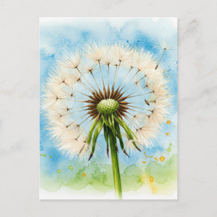Dandelions Postcard