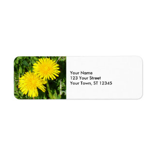 Dandelions Return Address Label